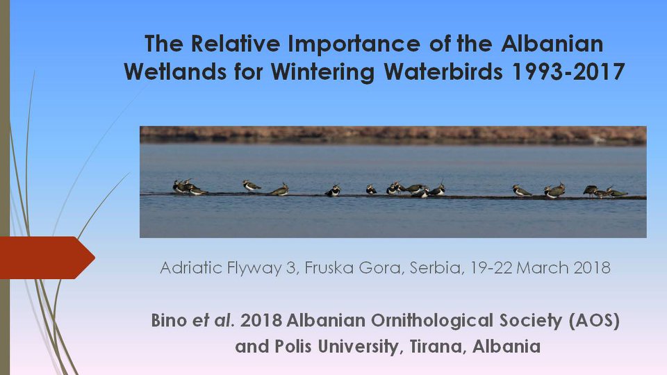 AOS in Adriatic Flyway Conference