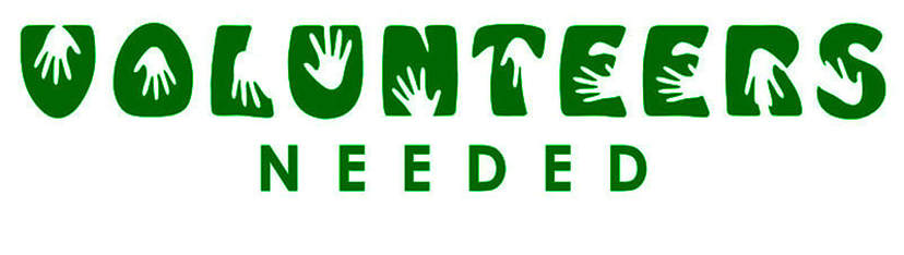 Volunteer Application