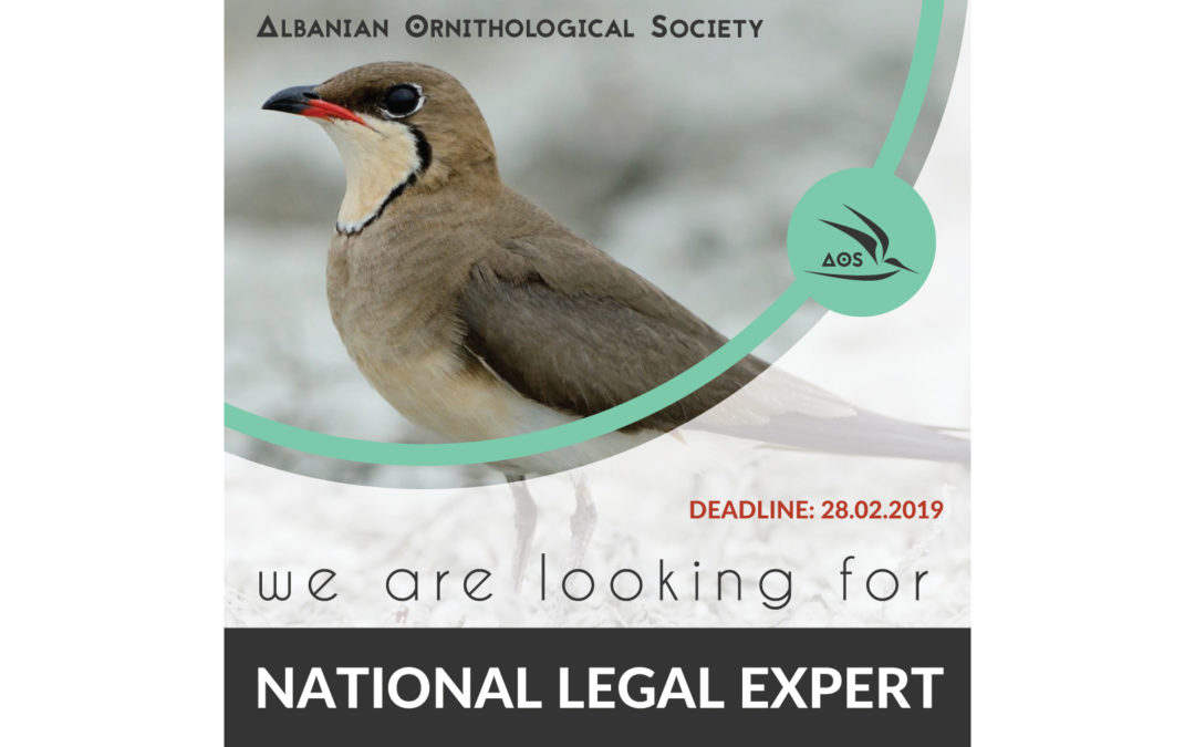 National Legal Expert