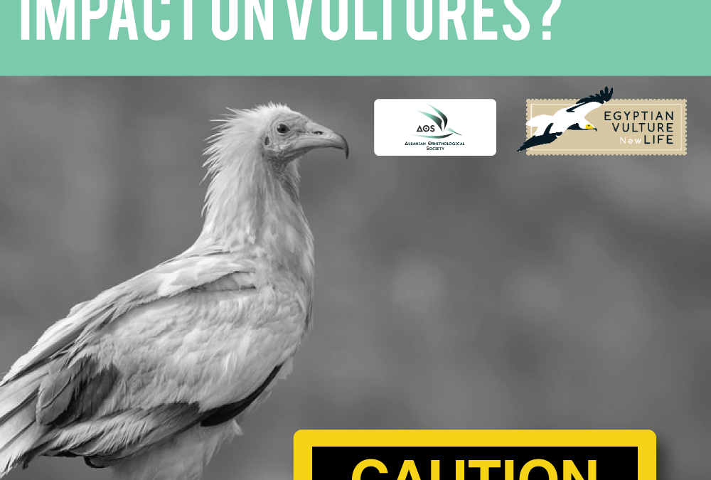 Investigate the impact of agricultural chemicals as poisoning agents for the Egyptian Vulture.