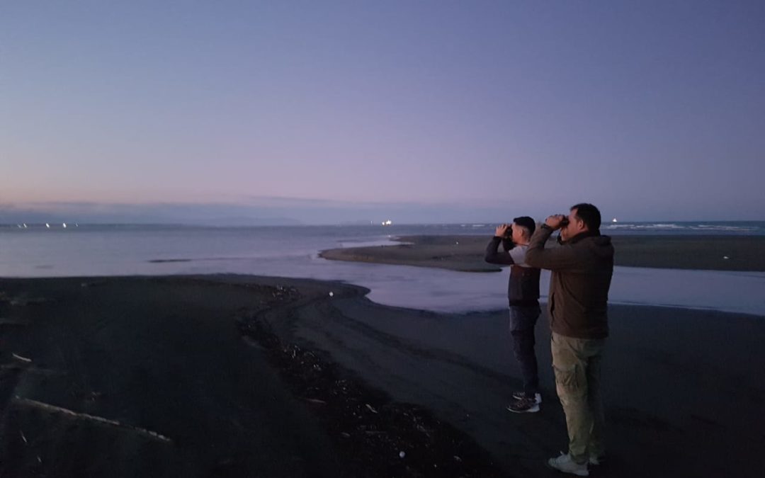 Joint monitoring with RAPA Fier on cases of illegal killing and taking of birds.