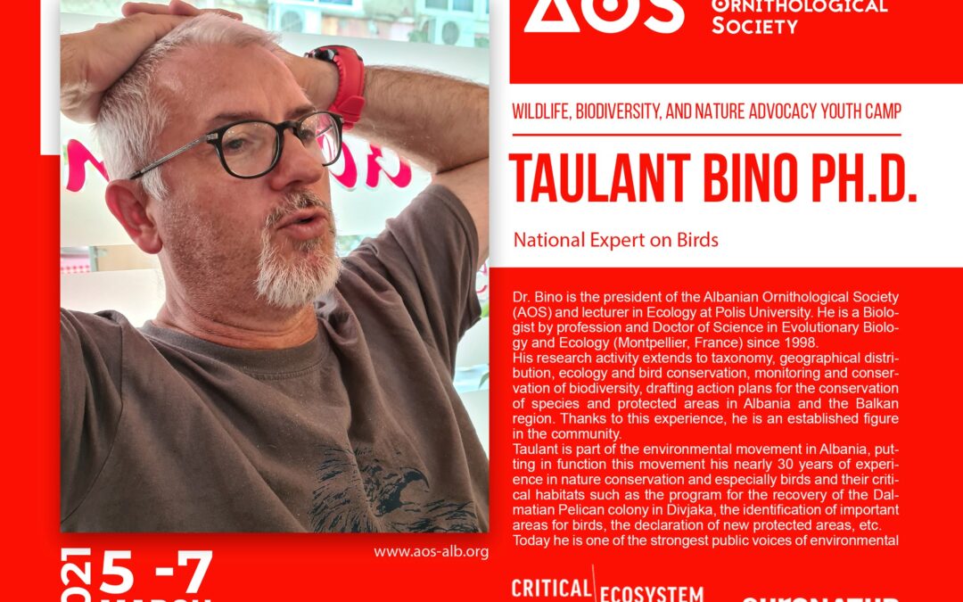 Taulant Bino, trainer on the Wildlife, Biodiversity, and Nature Advocacy Youth Camp