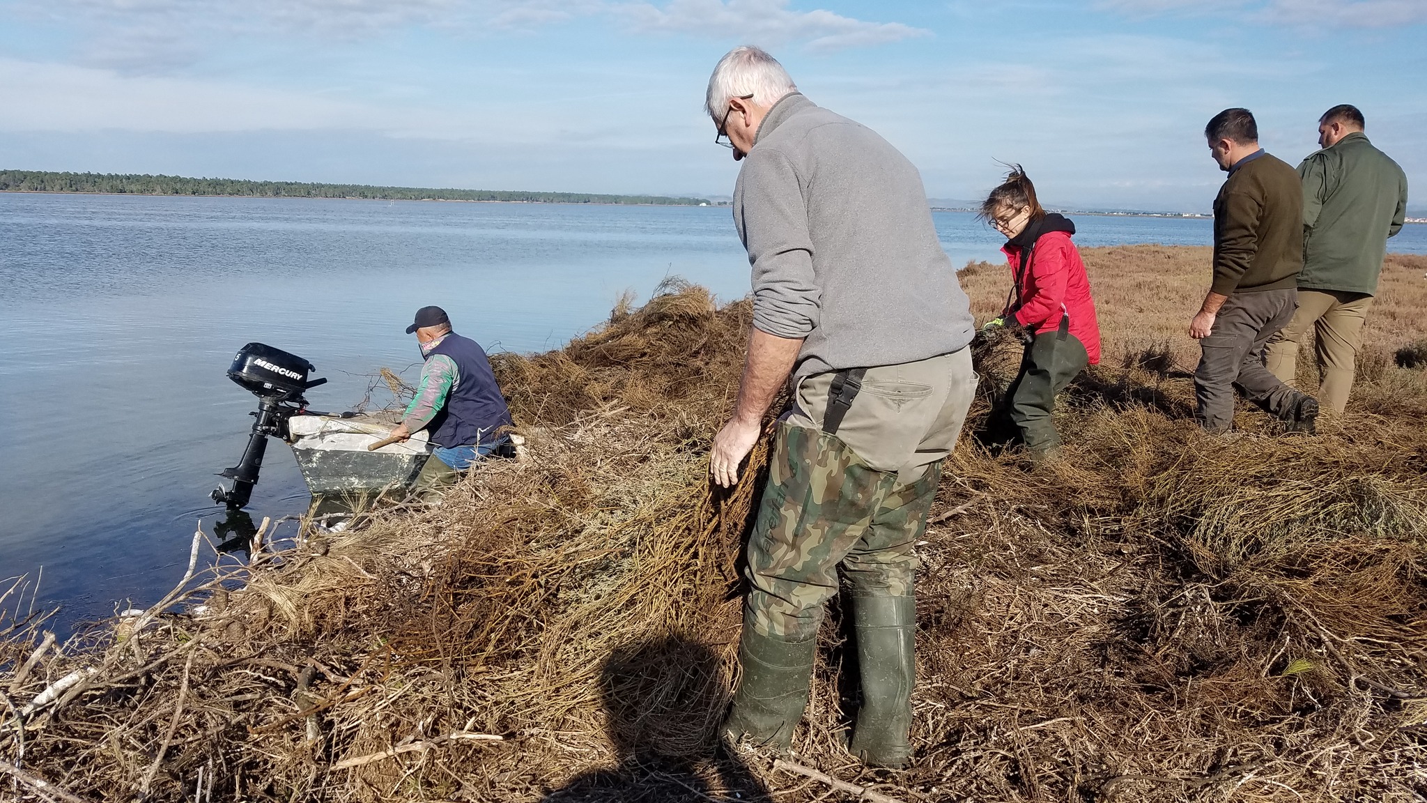 The rehabilitation of Dalmatian Pelican’s breeding beds