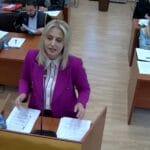 Ina Zhupa during the Constitutional Court hearing on Law 21/2024